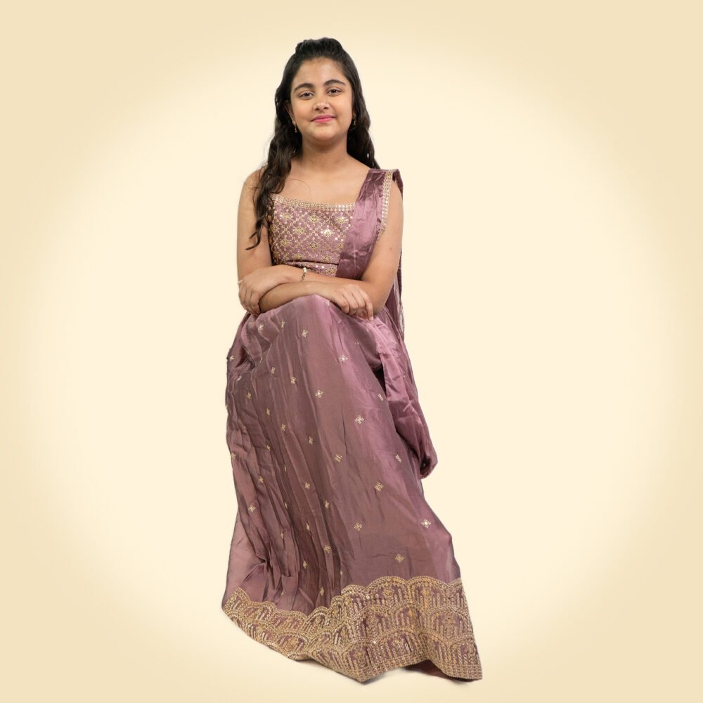 Lehenga Saree With Stitched Blouse