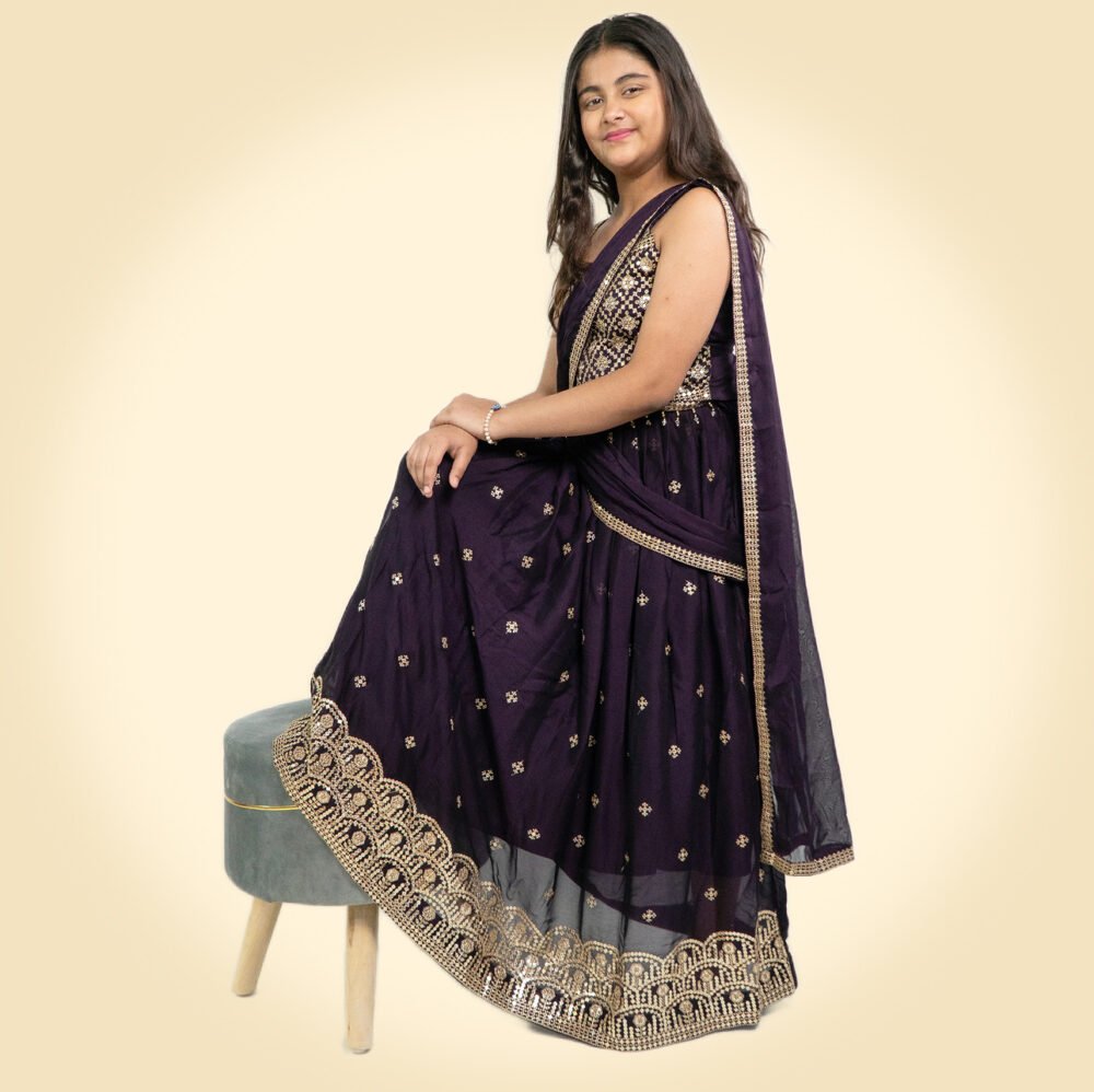 saree cum lehnga for girls - Image 2