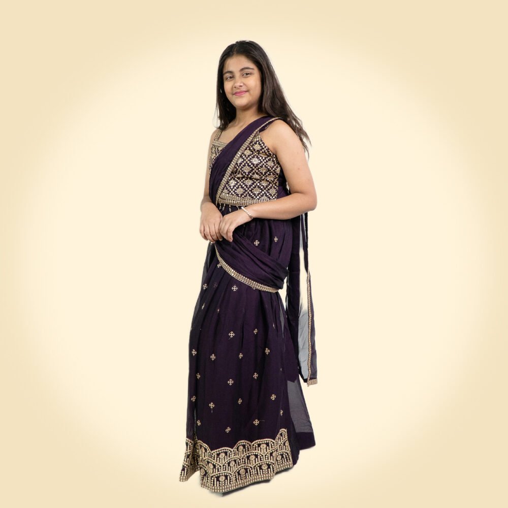 saree cum lehnga for girls